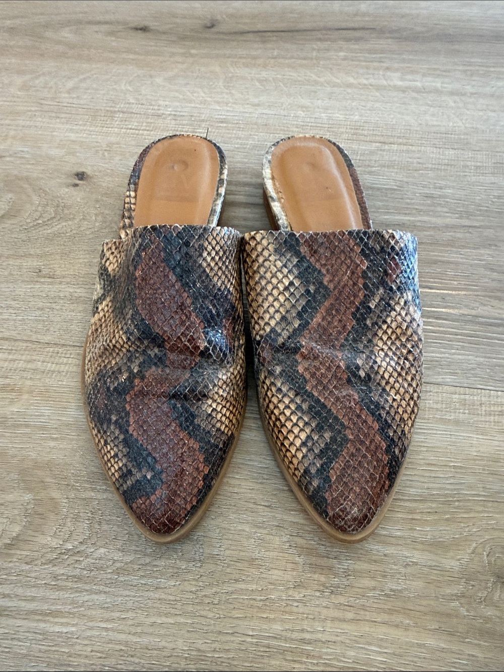 DV by Dolce Vita Snake-Print Pointed Mules in Brown & Black
